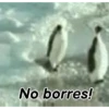 Frases Gio 5