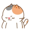 Tonton friends 6