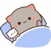 Cat love 5