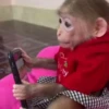 🧿Monkey🐒Changuitos🐵 8