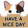Cute cat 20