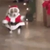 JAJA É NATAL 🎄🎅 14
