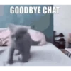 Good bye chat 👋🏻 9