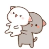 Cat peach 3 7