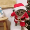 NATAL TA CHEGANDO 🎅🎄 11