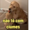 مل Tik Tok @humordivertidos não tô com ciúmes