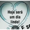 PALMEIRAS  21
