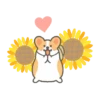 Summer Corgi 18