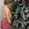 Navidad 🎄Random 17