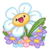 Flowers 🌷 8