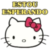 MEMES FOFOS DA HELLO KITTY 8