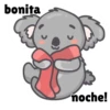 bonita noche!