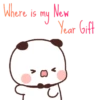 New Year Dudu Bubu 4