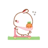 Rabbit🐰 23