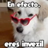 Moods Animalitos 15