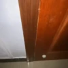 Escapes y peleas épicas 🐱🐶 12