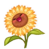 Flowers 🌷 7