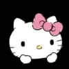 Hello Kitty  13