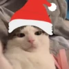 NAVIDAD RANDOM 🎄❤️ 30