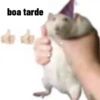 Boa semana 👍 11