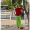 Grinch brasileiro  25