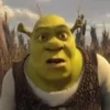 Shrek Time🟢✨ 13