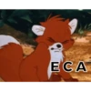 Gifs 29