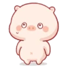 Stiker Piggy Bucin 🐷 9