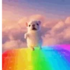 Perro Pibble TikTok✨🐾 14