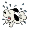🦴•🏡Snoopy🏡•🦴 7