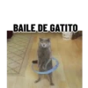 BAILE DE GATITO