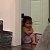 🎵 TIKTOKeando 31🎵 6
