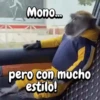 Mono... pero con mucho estilo!
