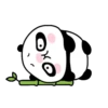 Cute Panda 🐾✨🐼 16