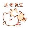 Rabbit🐰 6
