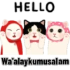Cute cat 11
