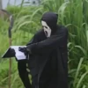 Novas do Amostradinho 💀🤣 12