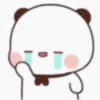 Dudu Bubu 24