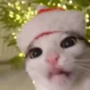 NAVIDAD RANDOM 🎄❤️ 26