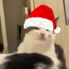 NAVIDAD RANDOM 🎄❤️ 29