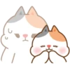 Tonton friends 19