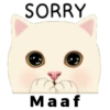 Cute cat 22