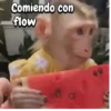 Comiendo con flow
