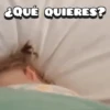 🧸ྀིBebes👦🏽Bebes Tiernos🧸ྀི 12