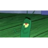 Plankton 5