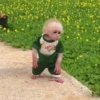🧿Monkey🐒Changuitos🐵 10