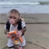 Monkeys 3 10