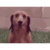 Smile mix 8