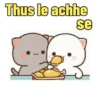 Thus le achhe se
