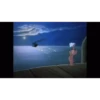 Tom and Jerry 10
